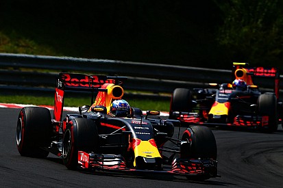 Webber - Ricciardo a "plus de sang-froid" que Verstappen