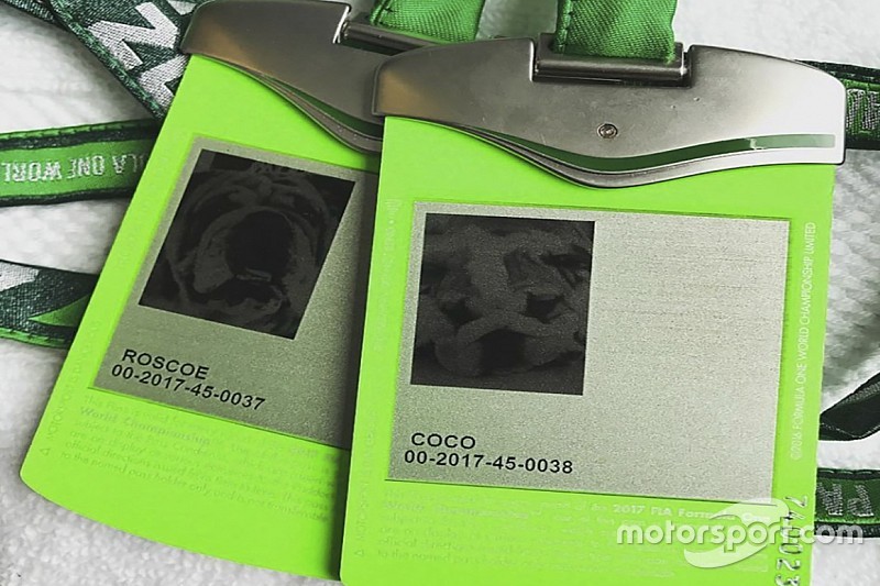 Mascotas de Lewis Hamilton con acreditación para la F1