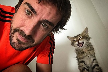 Журналисты провели расследование, чтобы узнать кличку котенка Алонсо