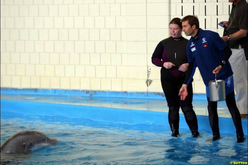 Sauber teammates Nick Heidfeld and Heinz-Harald Frentzen enjoy the dolphin display Indianapolis City Zoo. United States GP, Indianapolis, United States. September 26th 2002.
