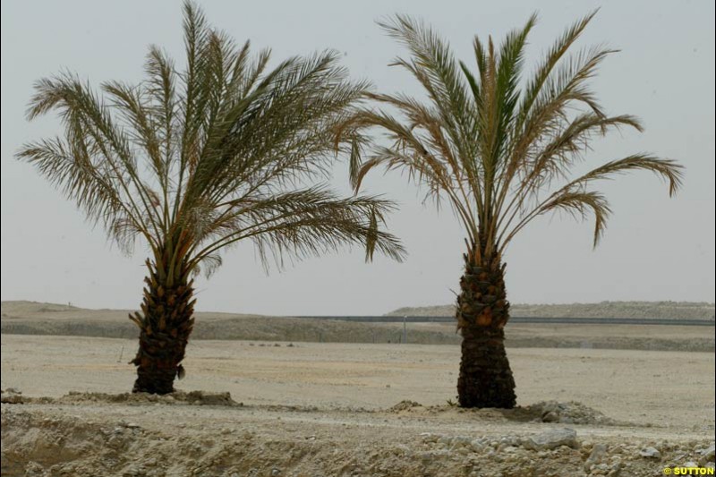 Bahrain Grand Prix, Bahrain International Circuit. April 1st, 2004.