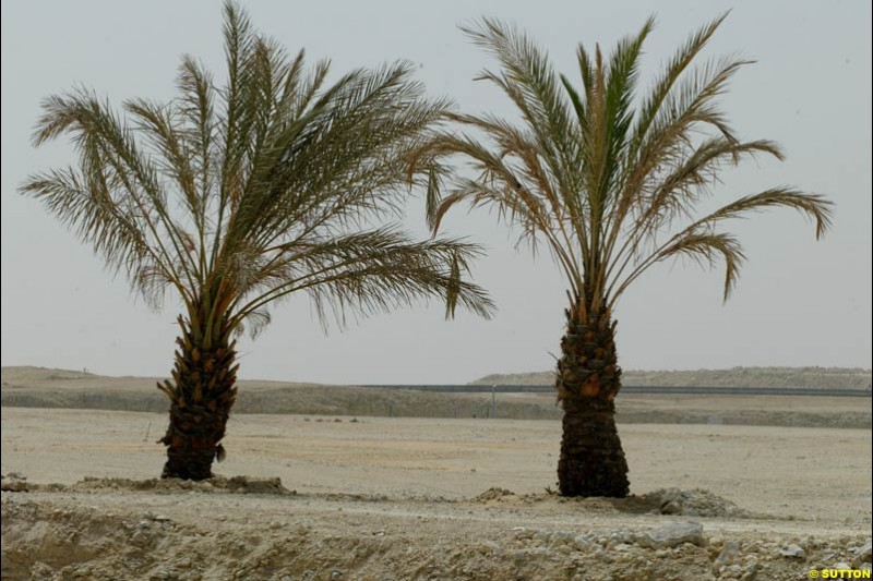  Bahrain Grand Prix, Bahrain International Circuit. April 1st, 2004.