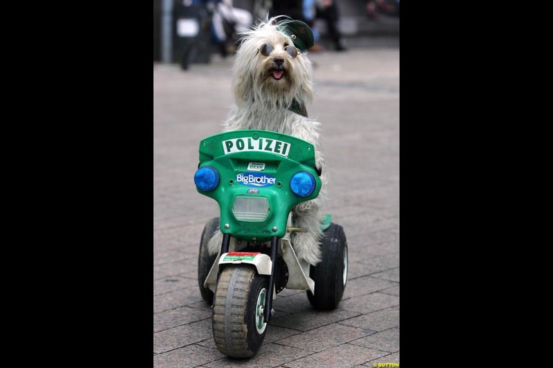 Police Dog, Toyota City Grand Prix, Cologne, Germany; August 22nd, 2004.