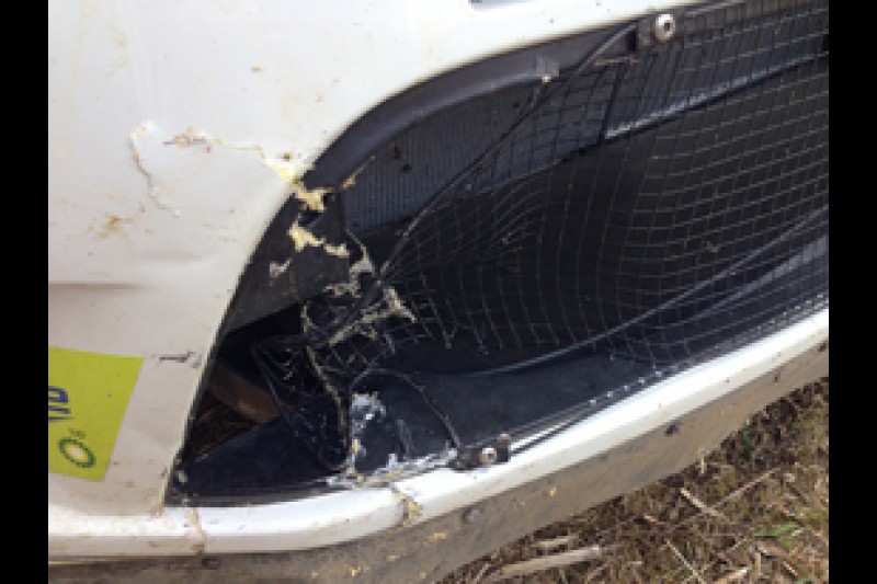 Mikkelsen damage