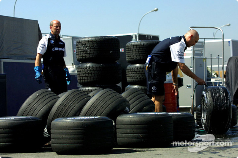 Michelin tires