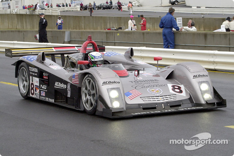 Massimiliano Angelelli in the Cadillac LMP
