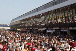 Fans in Zandvoort