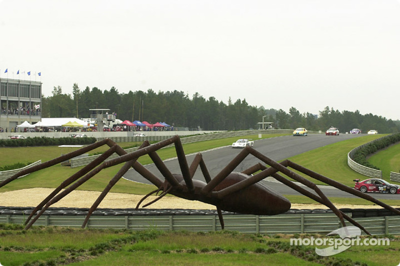 Barber Motorsports Park >> The Famous Spider At Barber Motorsports Park Watches The Barber Motorsports Park >> The Famous Spider At Barber Motorsports Park Watches The
