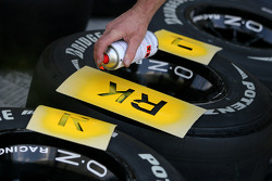 Robert Kubica, Renault F1 Team