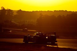 #33 Level 5 Motorsports Lola Coupe-Honda Performance Development: Scott Tucker, Christophe Bouchut, Joao Barbosa