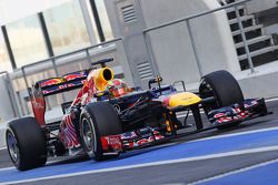 Robin Frijns, Red Bull Racing Test Driver