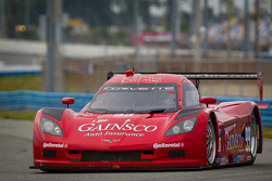 #99 GAINSCO/Bob Stallings Racing Corvette DP: Jon Fogarty, Alex Gurney, Memo Gidley, Darren Law