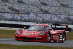 #99 GAINSCO/Bob Stallings Racing Chevrolet Corvette DP: Jon Fogarty, Alex Gurney, Memo Gidley, Darren Law