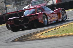 #99 GAINSCO/Bob Stallings Racing Corvette DP: Jon Fogarty, Alex Gurney, Memo Gidley, Darren Law