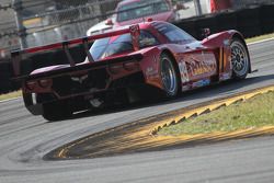 #99 GAINSCO/Bob Stallings Racing Corvette DP: Jon Fogarty, Alex Gurney, Memo Gidley, Darren Law