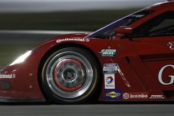 #99 GAINSCO/Bob Stallings Racing Corvette DP: Jon Fogarty, Alex Gurney, Memo Gidley, Darren Law