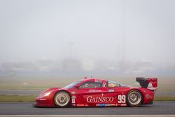 #99 GAINSCO/Bob Stallings Racing Corvette DP: Jon Fogarty, Alex Gurney, Memo Gidley, Darren Law