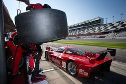 Pit stop for #99 GAINSCO/Bob Stallings Racing Corvette DP: Jon Fogarty, Alex Gurney, Memo Gidley, Darren Law