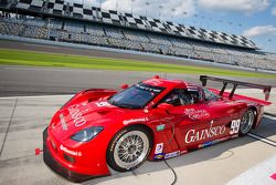 #99 GAINSCO/Bob Stallings Racing Corvette DP: Jon Fogarty, Alex Gurney, Memo Gidley, Darren Law