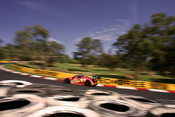#6 Rod Salmon Audi R8 LMS: Rod Salmon, Craig Lowndes, Warren Luff