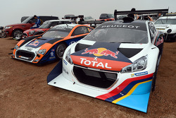 #208 Peugeot 208 T16 Pikes Peak: Sébastien Loeb