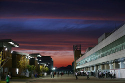 The sun sets over the paddock