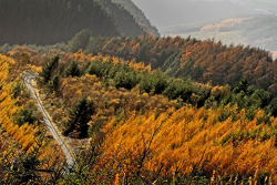 Ралли Уэльс, картинки.
