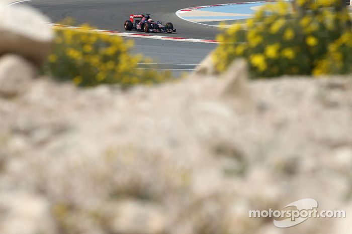 Jean-Eric Vergne, Scuderia Toro Rosso