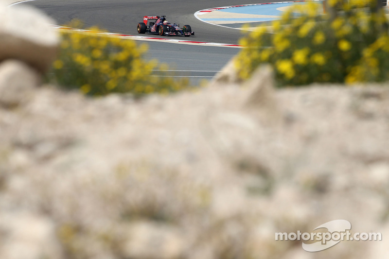 Jean-Eric Vergne, Scuderia Toro Rosso