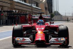 Fernando Alonso, Ferrari F14-T