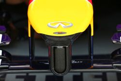 Red Bull Racing RB10 nosecone detail