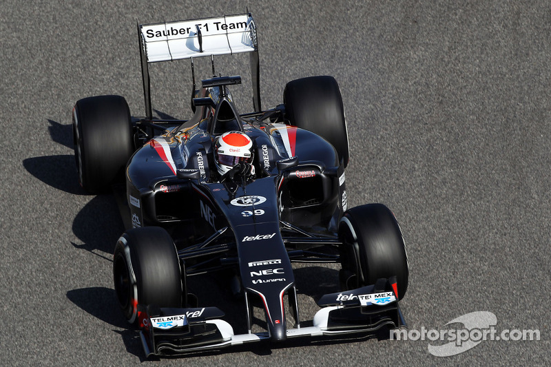 Adrian Sutil, Sauber C33