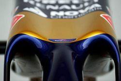 Scuderia Toro Rosso STR9 burnu