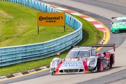 #60 Michael Shank Racing with Curb/Agajanian Ford EcoBoost/Riley: John Pew, Oswaldo Negri