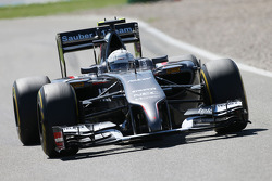 Giedo van der Garde, Sauber C33 Reserve Driver