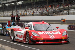 #31 Marsh Racing Corvette DP: Eric Curran, Burt Frisselle