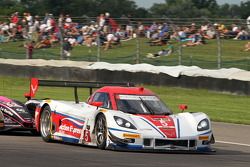 #5 Action Express Racing Corvette DP: Joao Barbosa, Christian Fittipaldi