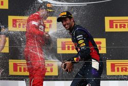 Daniel Ricciardo, Red Bull Racing RB10, Fernando Alonso, Ferrari