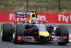Daniel Ricciardo, Red Bull Racing RB10
