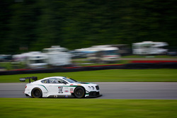 #08 Dyson Racing Team Bentley Bentley V8 T: Butch Leitzinger