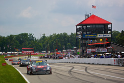 #31 EFFORT Racing Porsche GT3 R: Ryan Dalziel