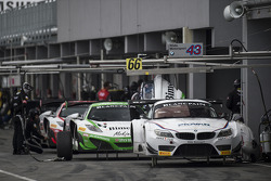 #34 ROAL Motorsport BMW Z4: Stefano Colombo, David Fumanelli