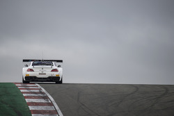#33 Roal Motorsport BMW Z4: Alex Zanardi