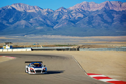 #23 M1 Racing Audi R8 LMS ultra: Walt Bowlin