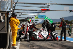 #38 Jota Sport Zytek Z11SN Nissan: Simon Dolan, Harry Tincknell, Filipe Albuquerque