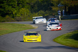 #87 3Dimensional.com Chevrolet Corvette: Doug Peterson