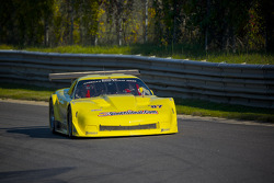 #87 3Dimensional.com Chevrolet Corvette: Doug Peterson