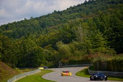 #67 BMG Management Chevrolet Corvette: Jason Berkeley