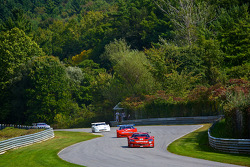#23 McNichols Company Chevrolet Corvette: Amy Ruman
