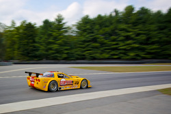 #4 Tony Ave Racing Chevrolet Corvette: Paul Fix